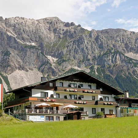 Kraftplatz Am Dachstein - Herold - Fuer Ruhesuchende Und Sportlich Aktive Ramsau am Dachstein Luaran gambar